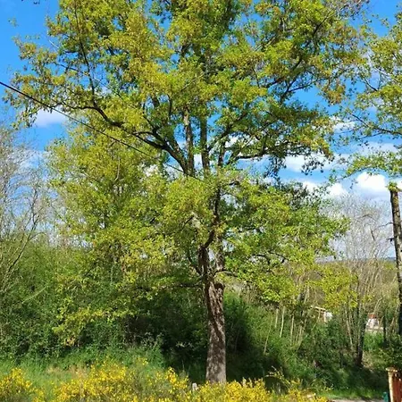En Pleine Nature Avec Jardin Et Terrasse - Fr-1-489-564 Country house *